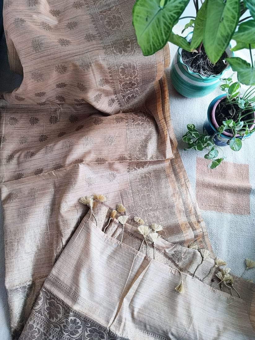 Baswada Silk Bhagalpuri Saree with Embroidery Work
