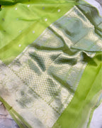 Banarasi Organza Saree