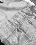 Banarasi Organza Saree